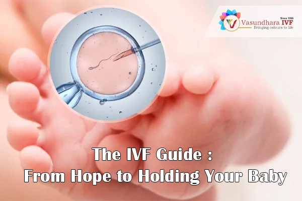 IVF GUIDE