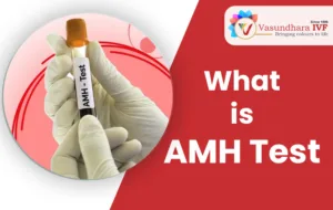 what is AMH test