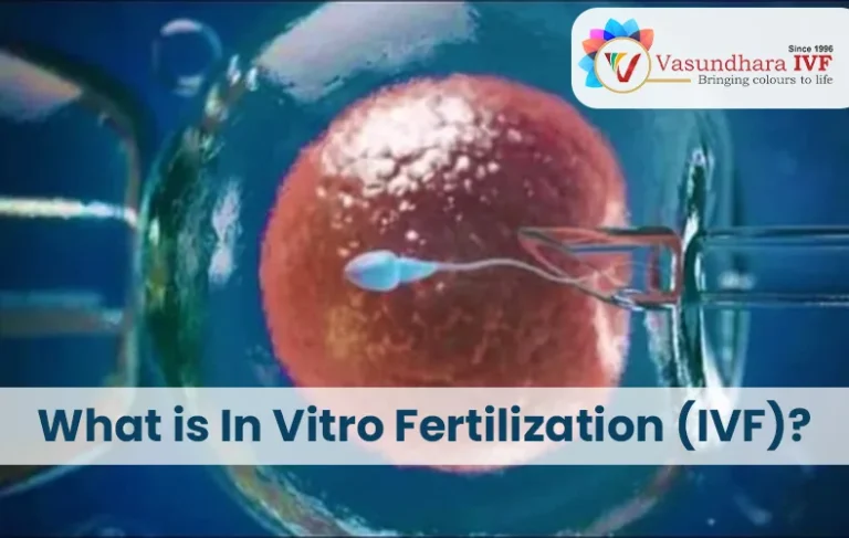 What is In Vitro Fertilization (IVF) Treatment?
