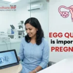 Egg Quality and Fertility: Warning Signs, Risky Habits, and Healthier Alternatives