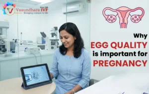 why-egg-quality-is-important-for-pregnancy - Vasundhara IVF vasundhara ivf is the best ivf in jodhpur and india