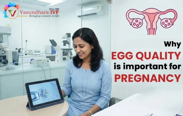 Egg Quality and Fertility: Warning Signs, Risky Habits, and Healthier Alternatives