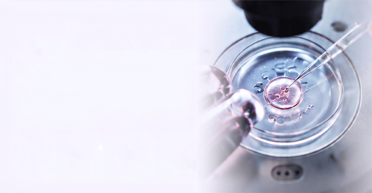 IVF Background Banner