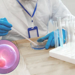 Blastocyst Transfer