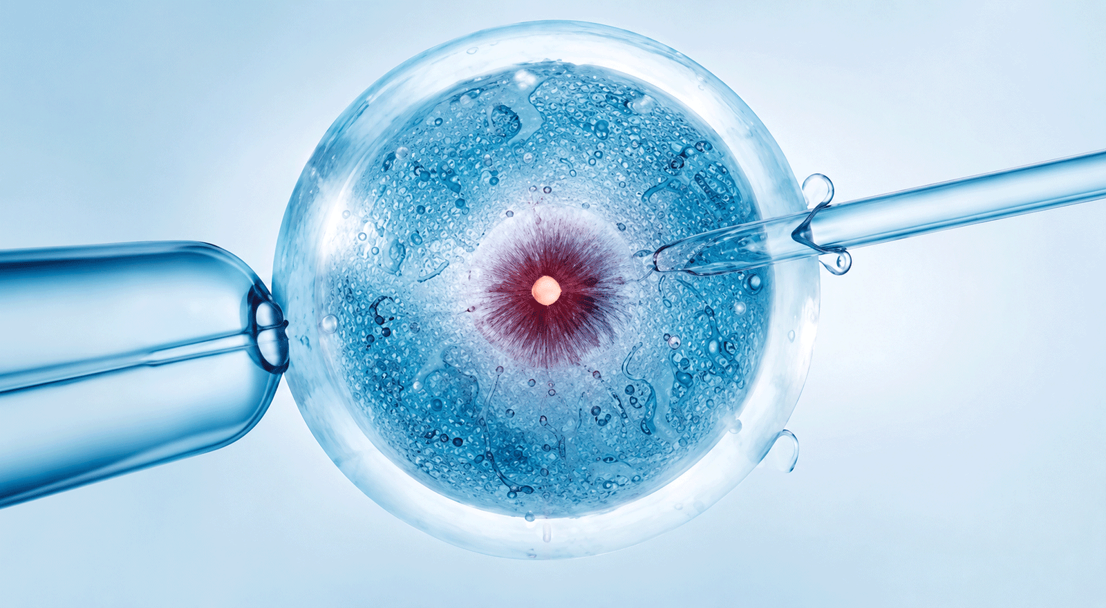 IVF Treatment
