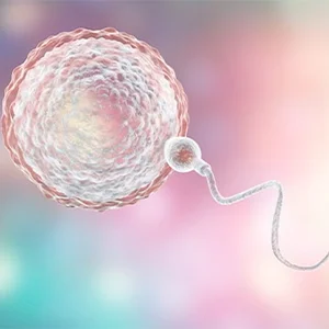 Donor Egg/Sperm