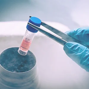 Embryo Preservation