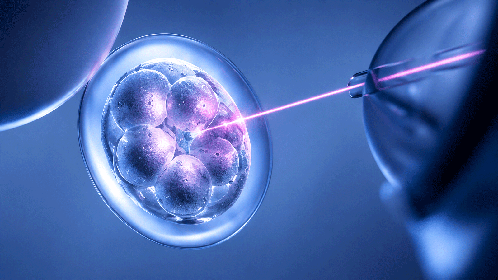 Laser Hatching Procedure on Embryo
