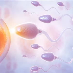 Surgical Sperm Retrieval